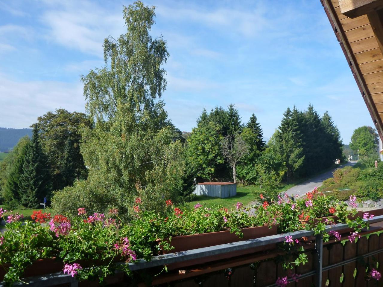 Gaestehaus Hundelbach Lenzkirch Eksteriør billede
